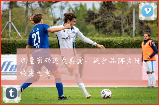 流量密码还是真爱，这些品牌为何偏爱电竞