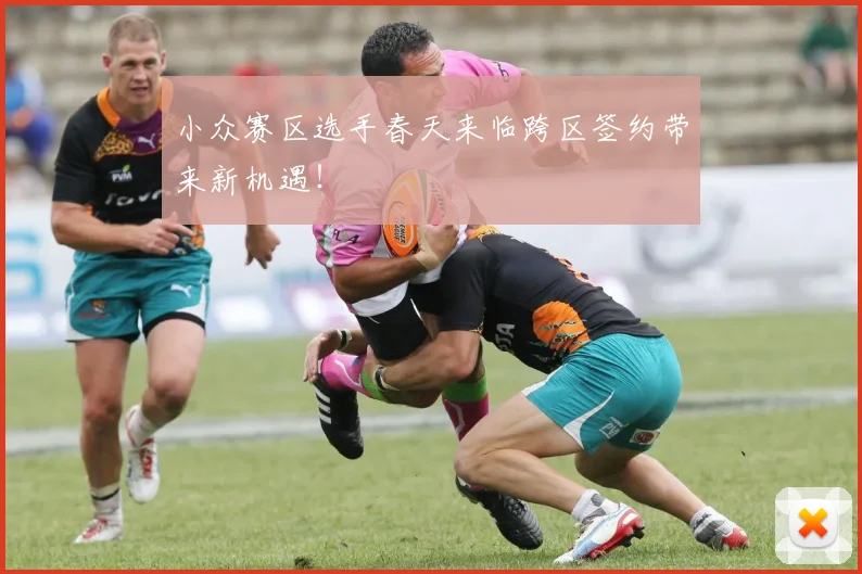 小众赛区选手春天来临跨区签约带来新机遇！